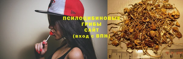 mix Белокуриха