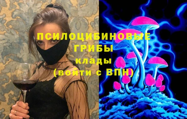 гидра Белоозёрский