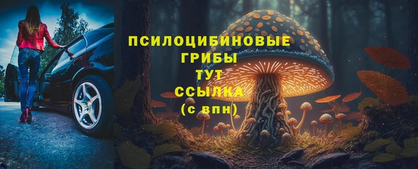 гидра Белоозёрский