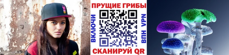 Галлюциногенные грибы GOLDEN TEACHER  Купить где  Сортавала 